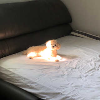 모모님이 올린 리뷰 사진 3