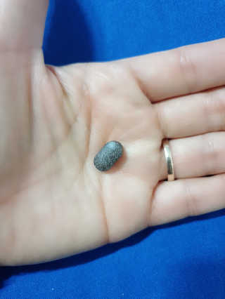 조은약초 꿀잠큐어 제주 감태추출물 감태정 600mg — 5점을 준 리뷰어가 2020년 5월 올린 사용 사진