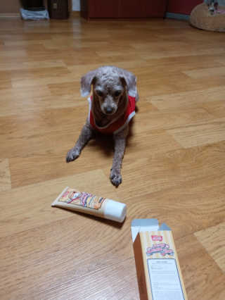 쪼꼬사랑이언니님이 올린 리뷰 사진 3