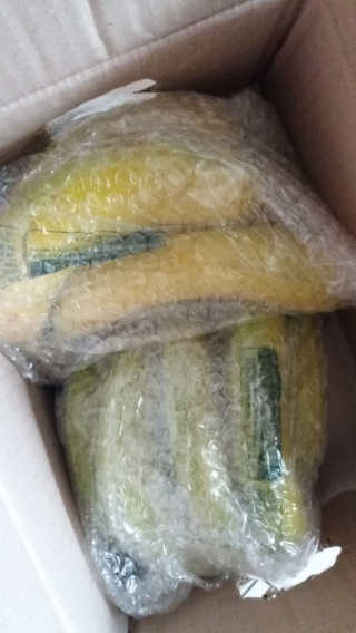 [스미후루] 감숙왕 바나나 2팩 2.6kg 이벤트 — 3.5점을 준 리뷰어가 2020년 9월 올린 사용 사진