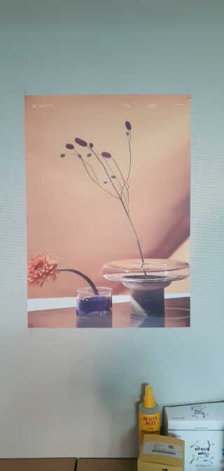라운디드 코리아 [라운디드] 원더플라워 포스터 6종 중 2종 랜덤발송 — 5점을 준 리뷰어가 2020년 10월 올린 사용 사진