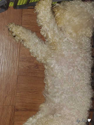 지아띠님이 올린 리뷰 사진 3