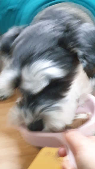 배엘세바님이 올린 리뷰 사진 4