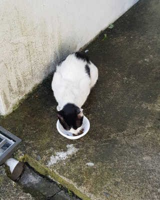 딸랑구둘🥰님이 올린 리뷰 사진 4