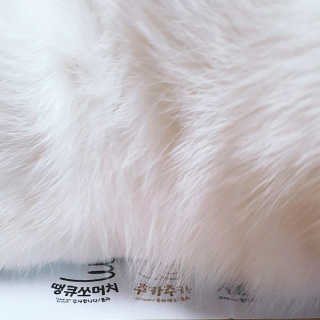 판타지스타님이 올린 리뷰 사진 2