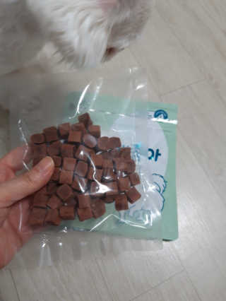 My Pet Care 천연단백질 눈건강에 개좋아 — 5점을 준 리뷰어가 2020년 11월 올린 사용 사진