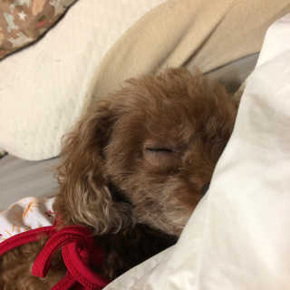 해니님이 올린 리뷰 사진 1