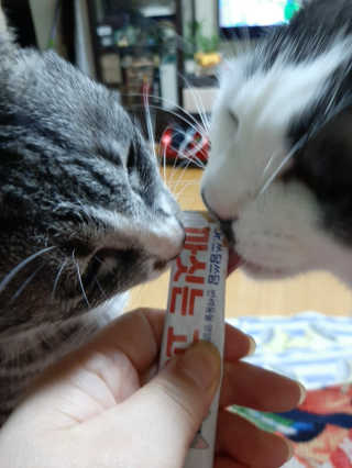 beenny님이 올린 리뷰 사진 1