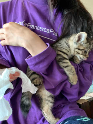 시리꽃님이 올린 리뷰 사진 3