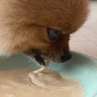 희공주님이 올린 리뷰 사진 4