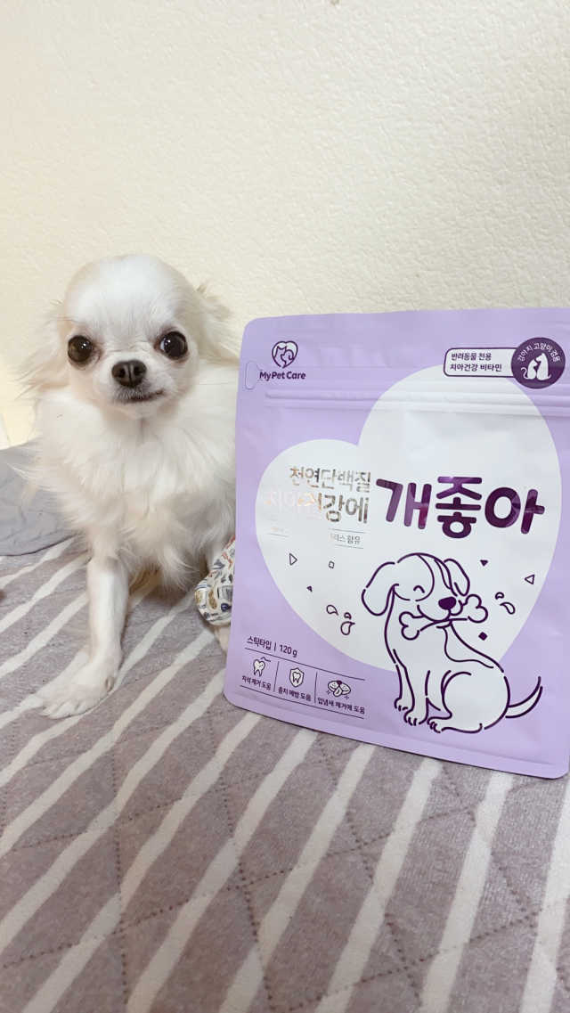 천연단백질 치아건강에 개좋아 리뷰 사진
