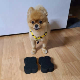 보헤미안망고님이 올린 리뷰 사진 1
