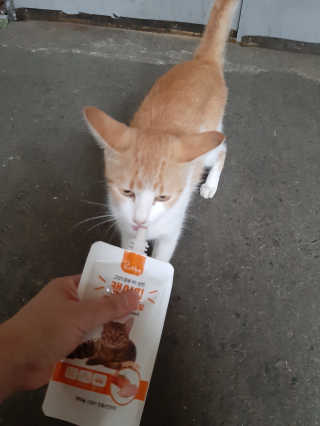부산댁님이 올린 리뷰 사진 1