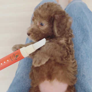 체리봉봉님이 올린 리뷰 사진 4