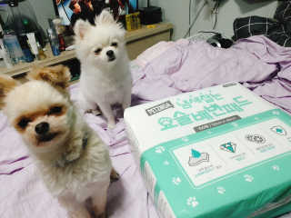 윤히포님이 올린 리뷰 사진 2