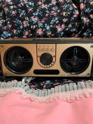 SEVIZ RETRO20W 레트로 블루투스 스피커 — 5점을 준 리뷰어가 2020년 10월 올린 사용 사진
