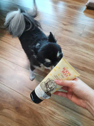 개구리뒷다리님이 올린 리뷰 사진 1