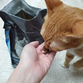 Dal님이 올린 리뷰 사진 1