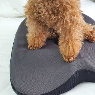 사랑해안시영님이 올린 리뷰 사진 1