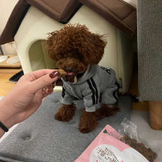 My Pet Care 천연단백질 관절건강에 개좋아 — 5점을 준 리뷰어가 2020년 12월 올린 사용 사진