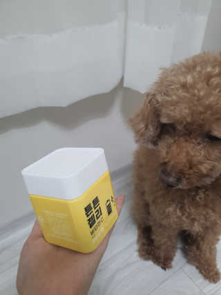 순딩한쿠키님이 올린 리뷰 사진 3