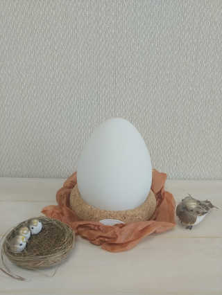 에잇스라잇 알에서 새가 깨어나는 감성 디자인 무드등, 에그라이트 — 4점을 준 리뷰어가 2020년 5월 올린 사용 사진