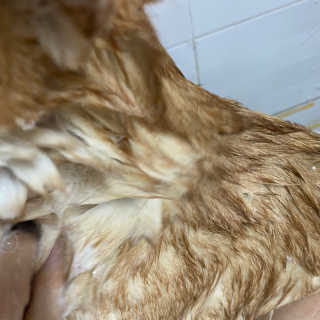 지미추님이 올린 리뷰 사진 4