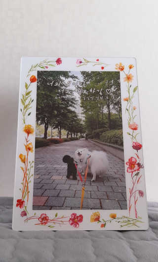 pie_chui님이 올린 리뷰 사진 2