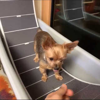 화장품대통령님이 올린 리뷰 사진 1