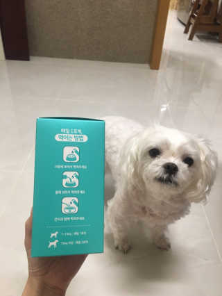 펫시랩 반려견용 액상 프리바이오틱스 아쿠아펫 — 4점을 준 리뷰어가 2020년 12월 올린 사용 사진