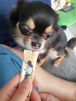태훈맘님이 올린 리뷰 사진 3
