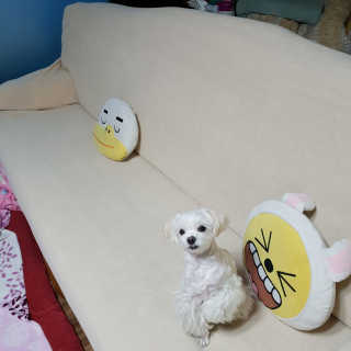 youngran님이 올린 리뷰 사진 2