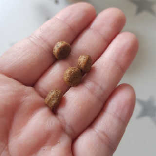 헤이뷰님이 올린 리뷰 사진 4