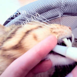 jemjug님이 올린 리뷰 사진 2