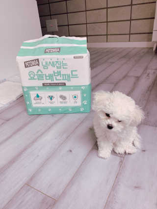 큐티윤님이 올린 리뷰 사진 3