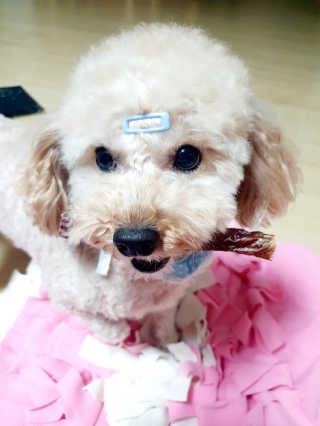 행복한코코네님이 올린 리뷰 사진 4