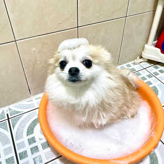 천사님이 올린 리뷰 사진 2