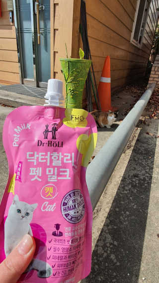 똥팸이님이 올린 리뷰 사진 2