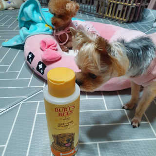 샛별꼬미호두맘님이 올린 리뷰 사진 3