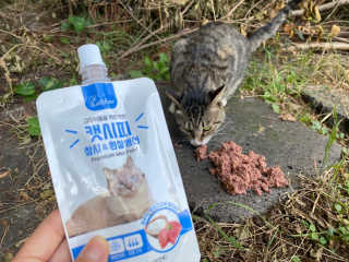 cobemom님이 올린 리뷰 사진 1