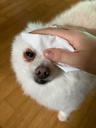 biin님이 올린 리뷰 사진 3