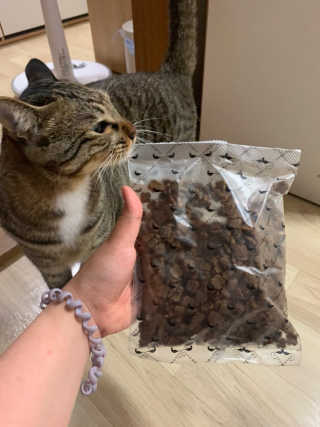 BoRaJin님이 올린 리뷰 사진 1