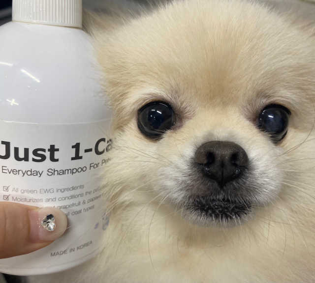 [펫토리아] 뚝딱케어 강아지 고양이 샴푸+미스트 SET 리뷰 사진