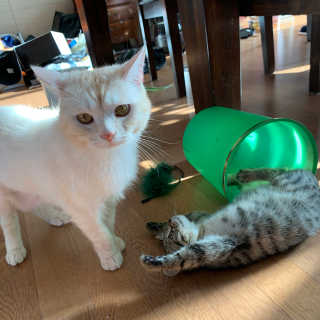 시리꽃님이 올린 리뷰 사진 3