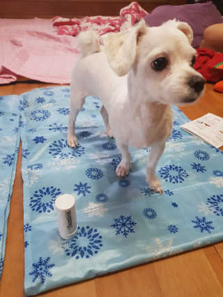 하연맘님이 올린 리뷰 사진 4