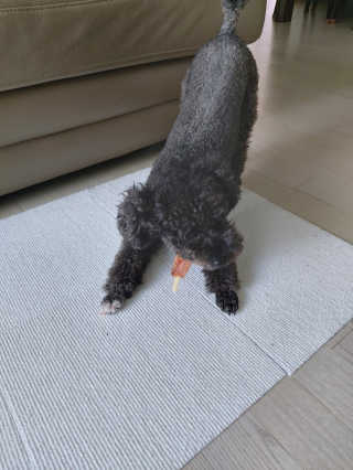 몽이님이 올린 리뷰 사진 2