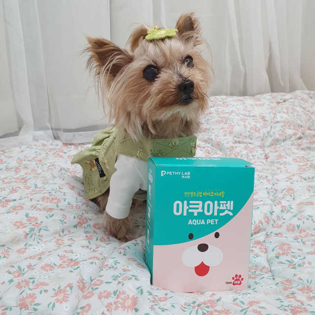 반려견용 액상 프리바이오틱스 아쿠아펫 리뷰 사진