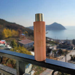 푸들ol님이 올린 리뷰 사진 2