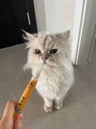 곽재련님이 올린 리뷰 사진 3