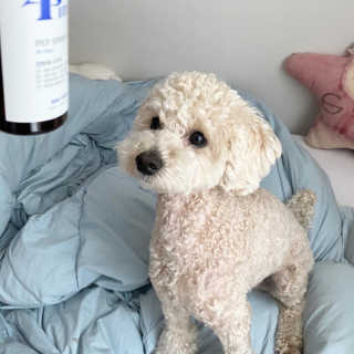 그린님이 올린 리뷰 사진 4